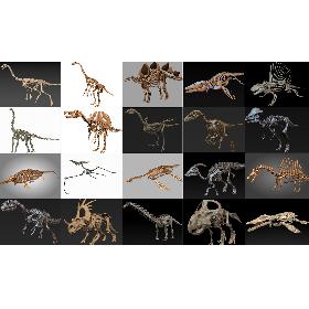 20 in1 Dino skeleton Collection model